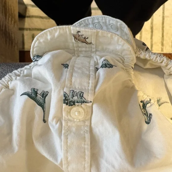 Like New Janie and Jack 2 Piece Boys Dinosaur Button Down w Green Corduroy Pants - Picture 4 of 14